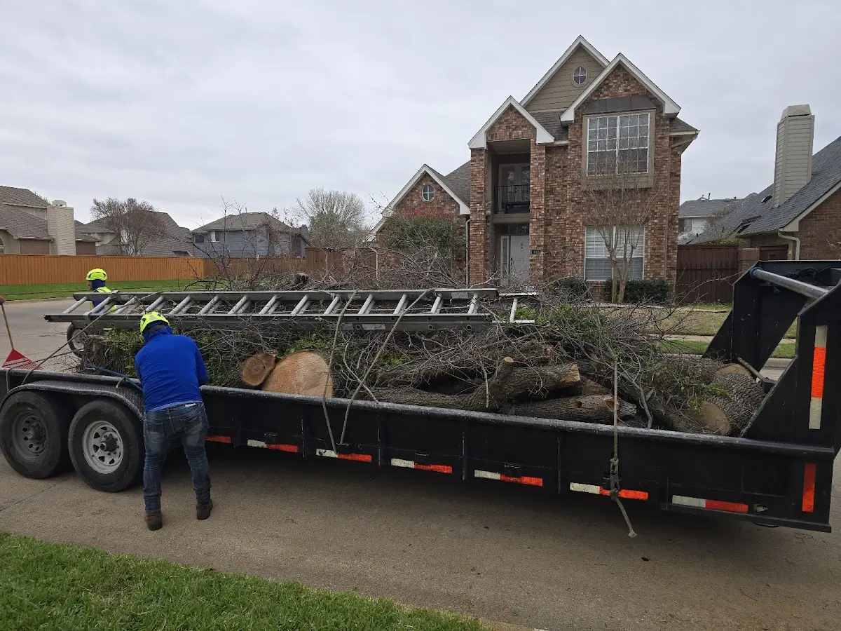 Expert Crown Reduction with proper safety equipment in Rutherfordton